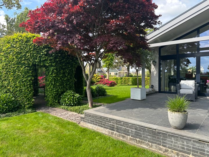 Foto 75 van Halve Raak 85