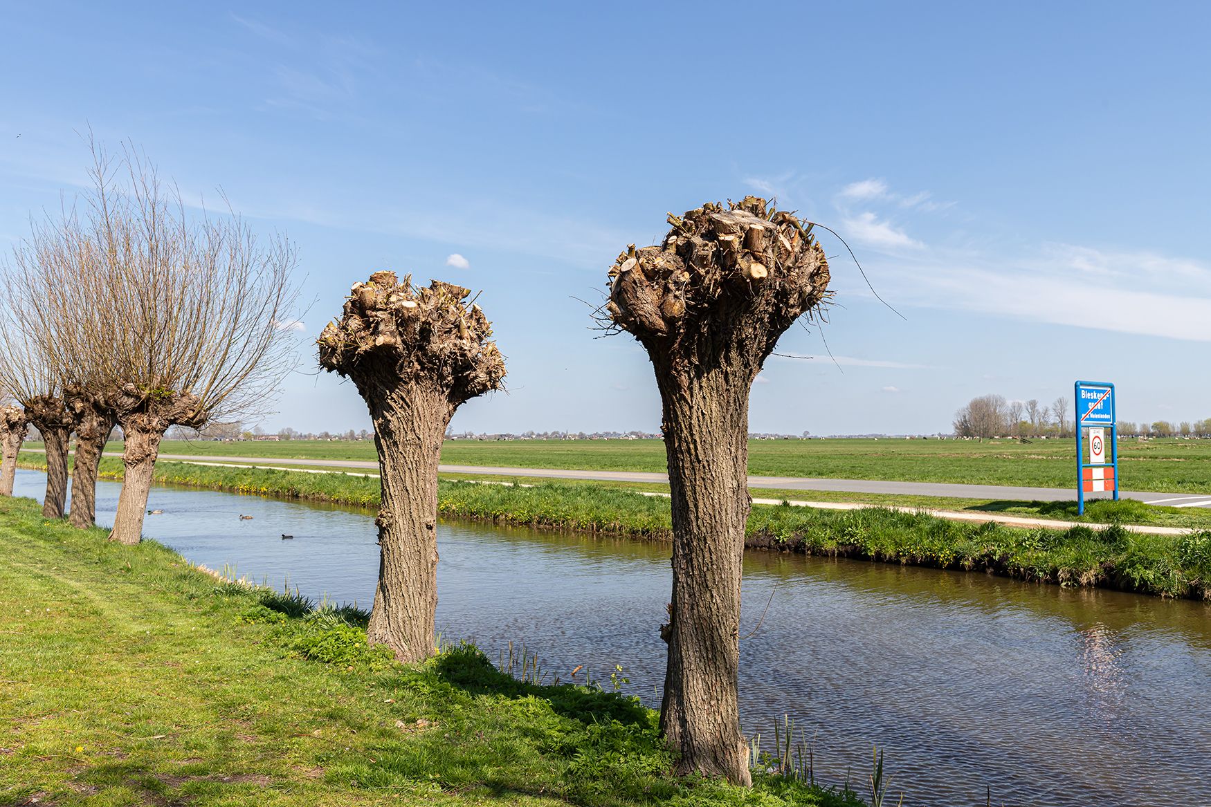 Foto 27 van Ereprijsstraat 6