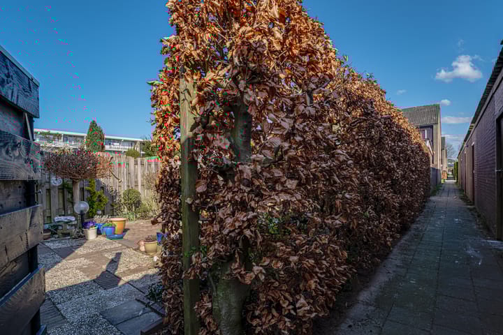 Foto 36 van Bachstraat 30