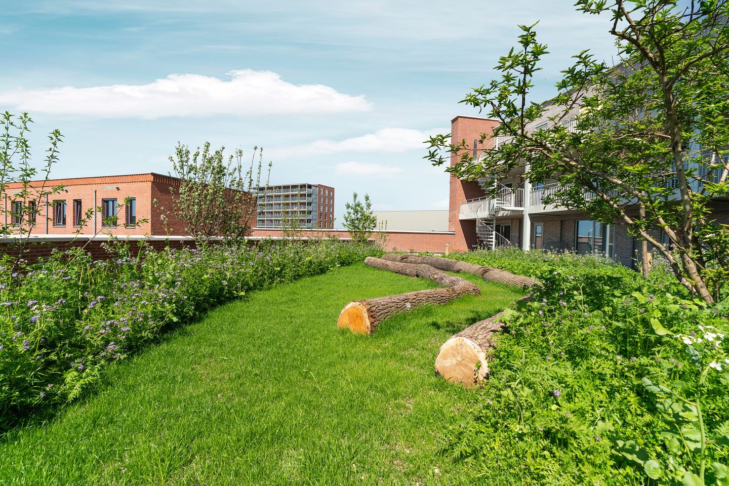 Foto 40 van Annie van Velzenhof 53