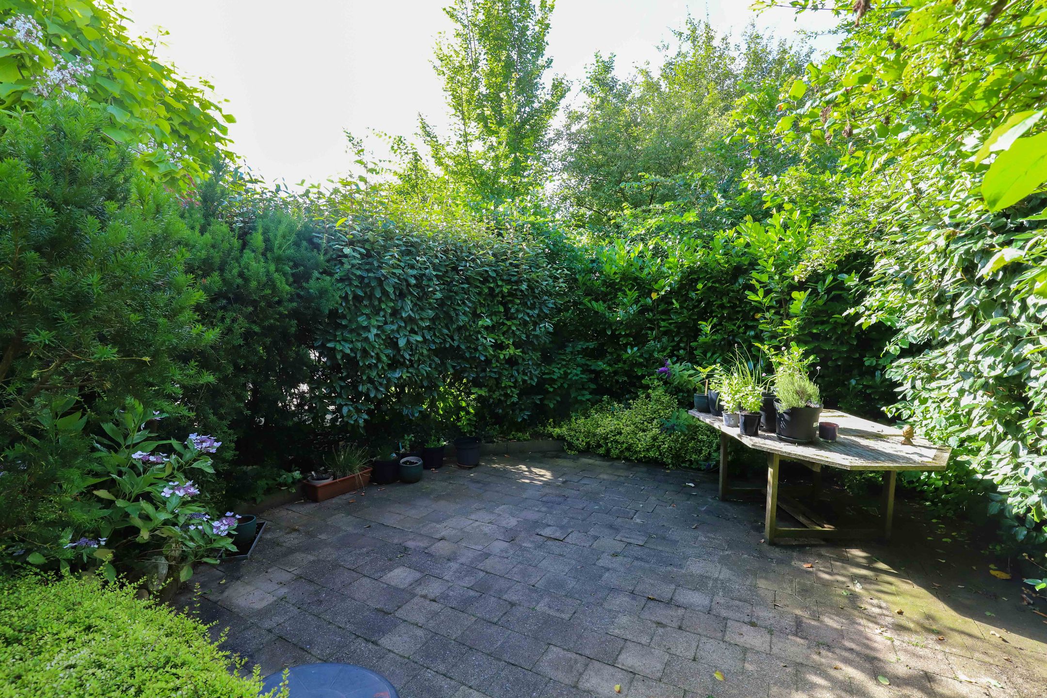 Photo 24 of Oostweg 2-0098