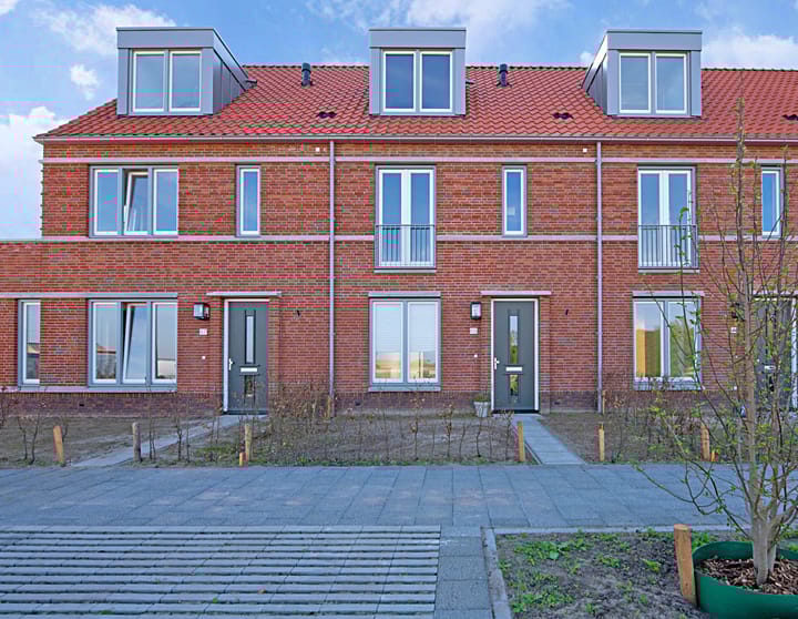 Foto 1 van Pyreneeën 69