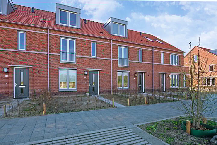 Foto 12 van Pyreneeën 69