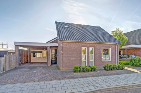 undefined main image