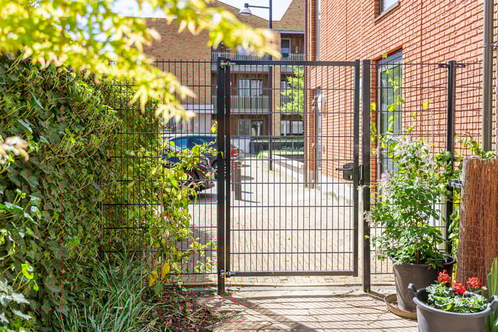 Foto 43 van Iseldoks 141