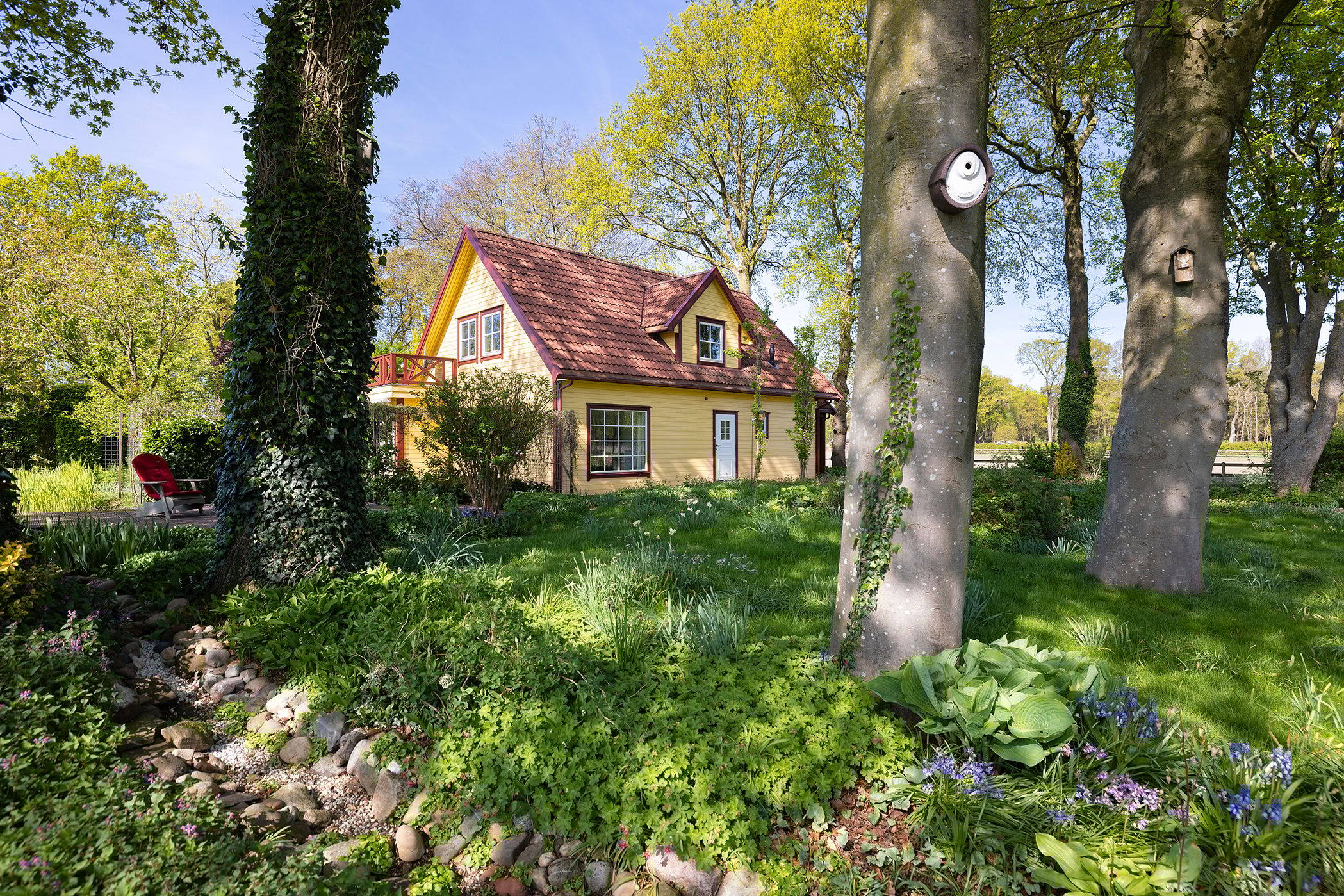 Foto 3 van Schapendrift 25