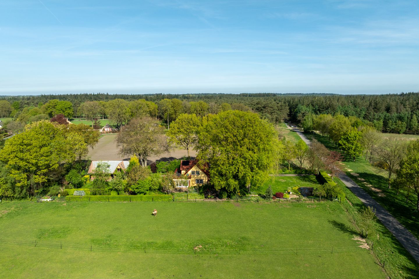 Foto 4 van Schapendrift 25