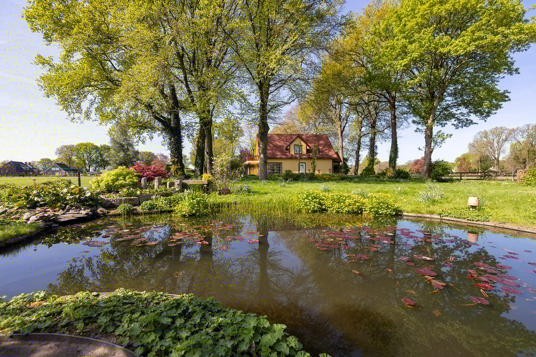 Foto 8 van Schapendrift 25