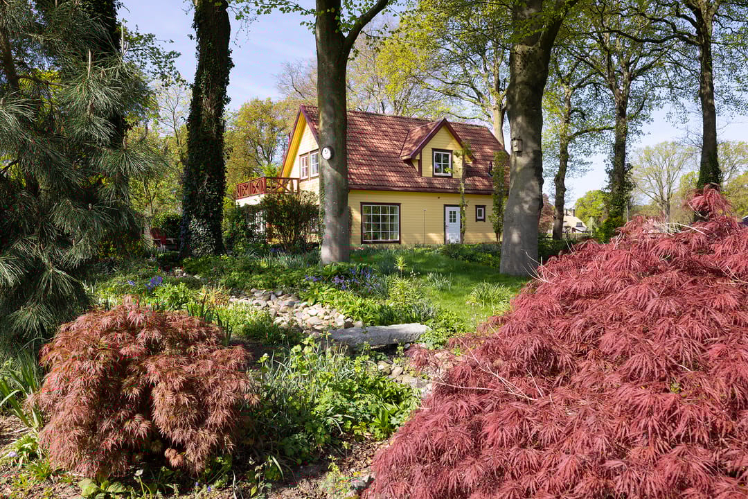 Foto 11 van Schapendrift 25