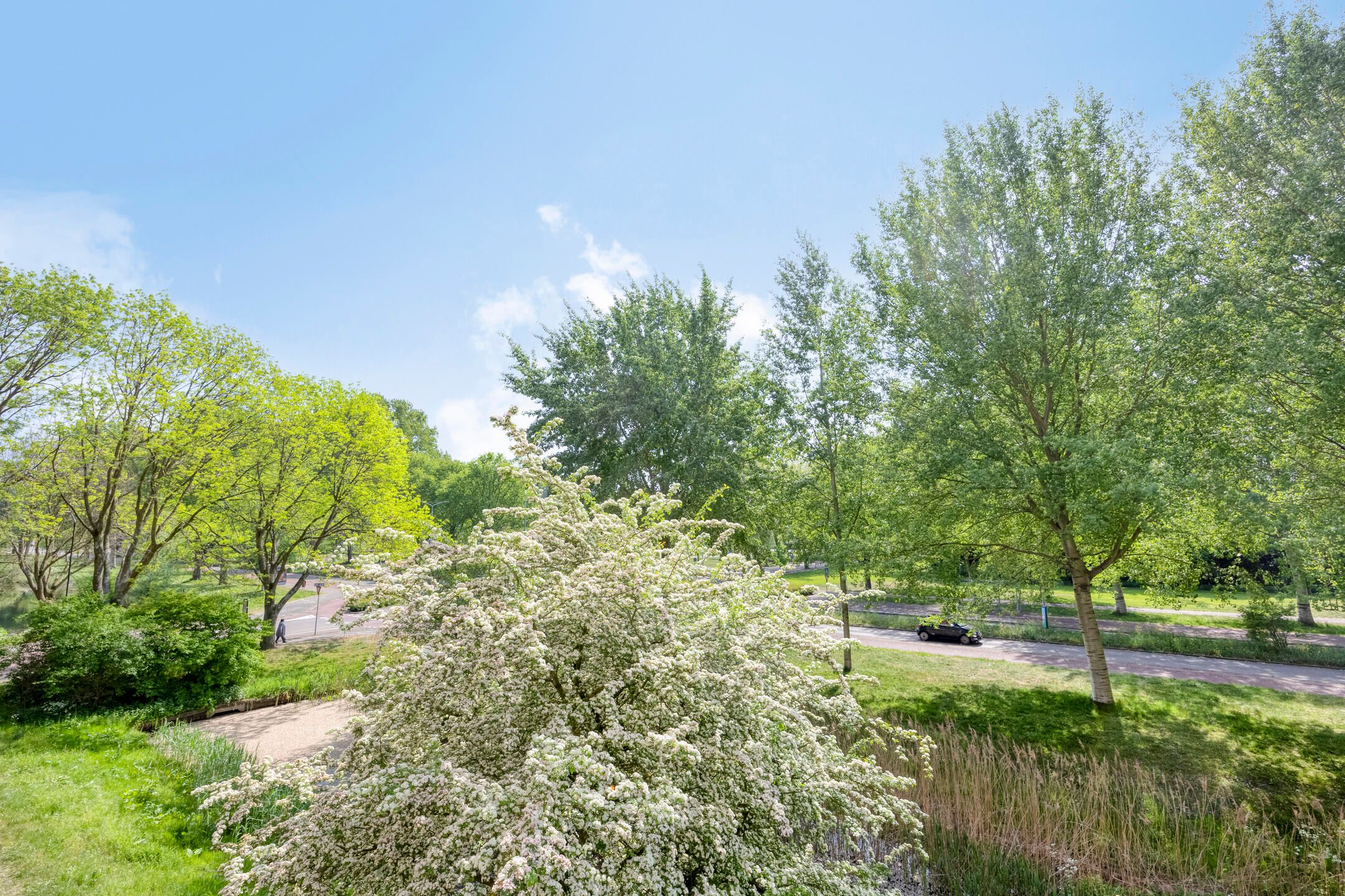 Photo 33 of Prinses Annalaan 192