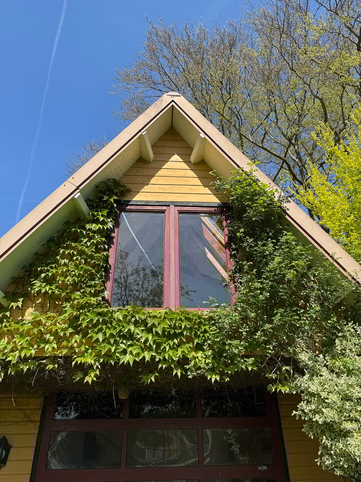 Foto 55 van Schapendrift 25