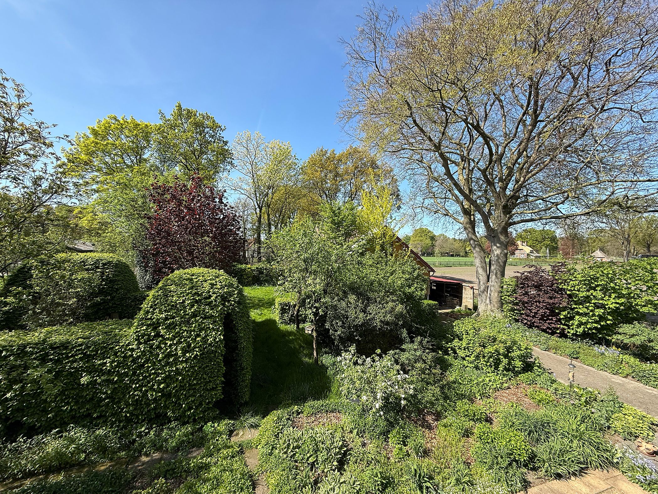 Foto 57 van Schapendrift 25