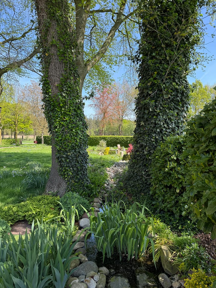 Foto 58 van Schapendrift 25