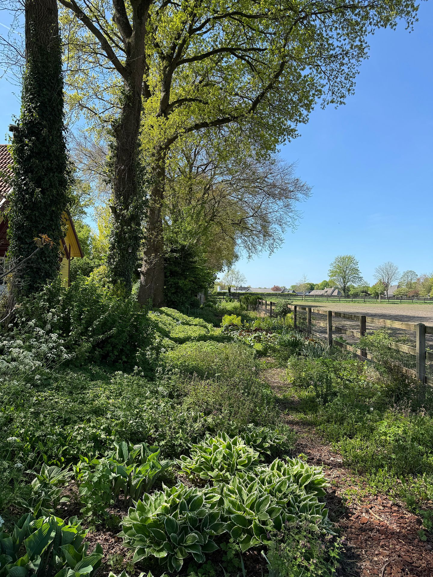 Foto 59 van Schapendrift 25