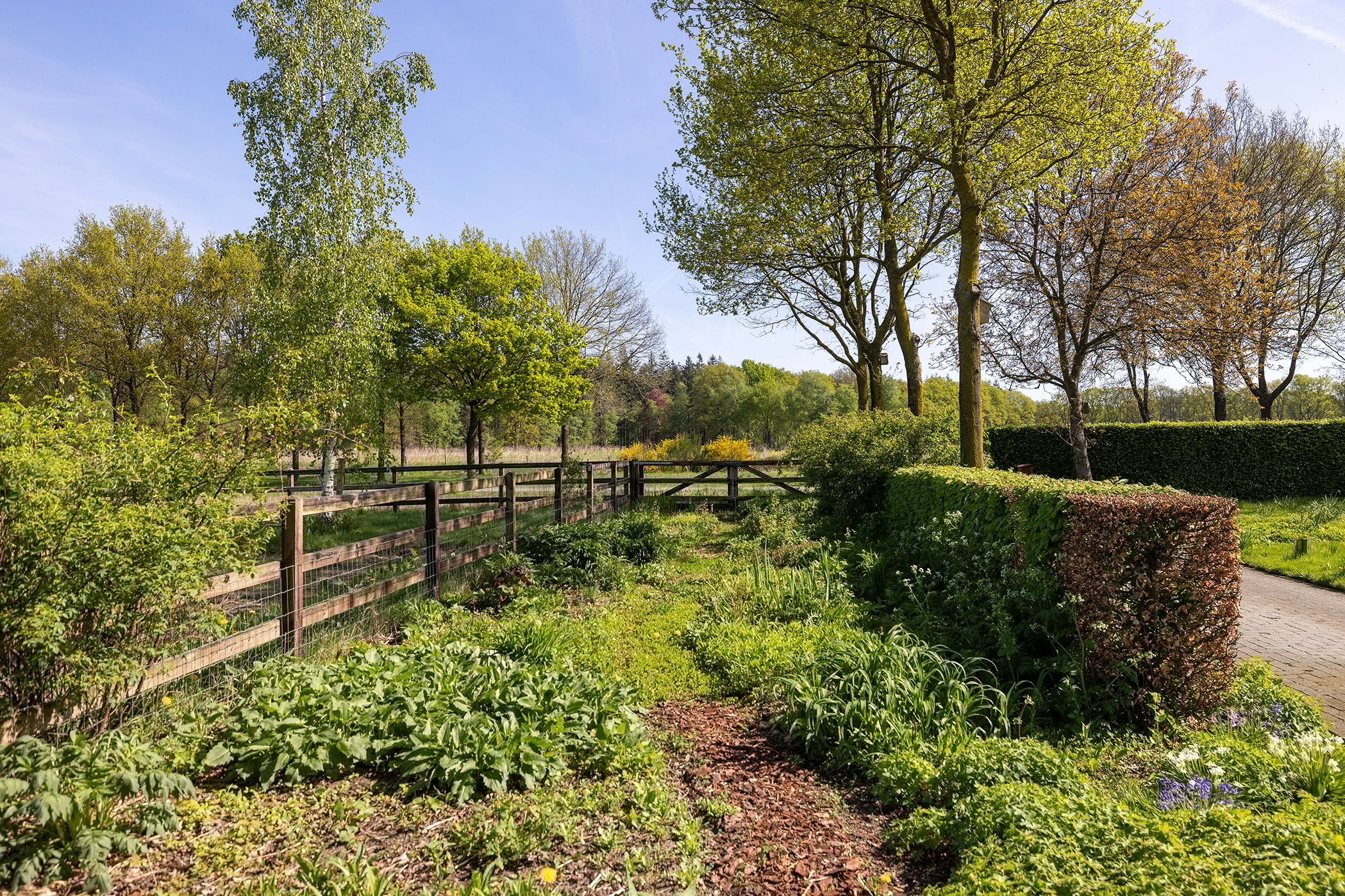 Foto 60 van Schapendrift 25