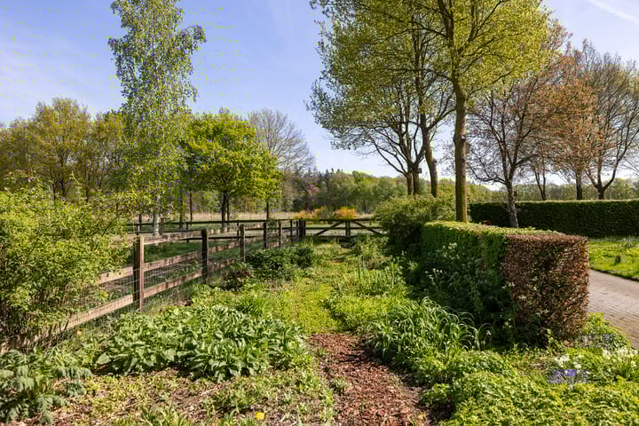 Foto 60 van Schapendrift 25