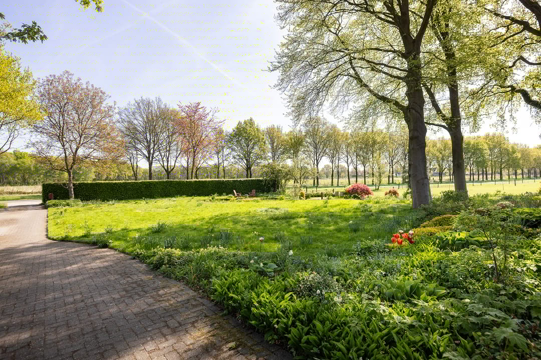 Foto 61 van Schapendrift 25