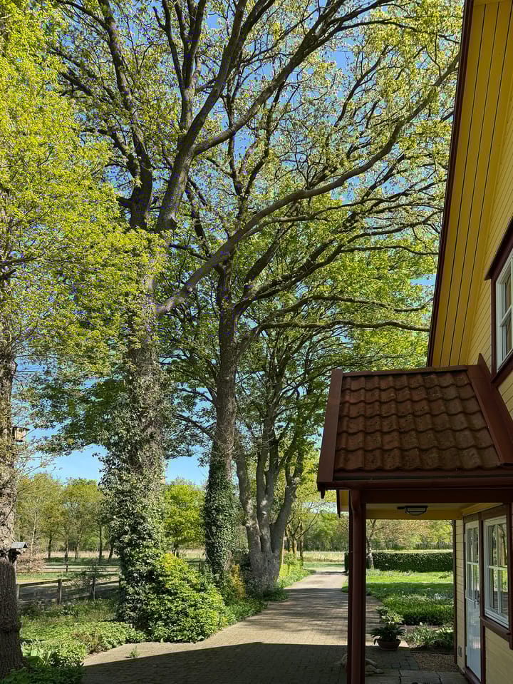 Foto 70 van Schapendrift 25