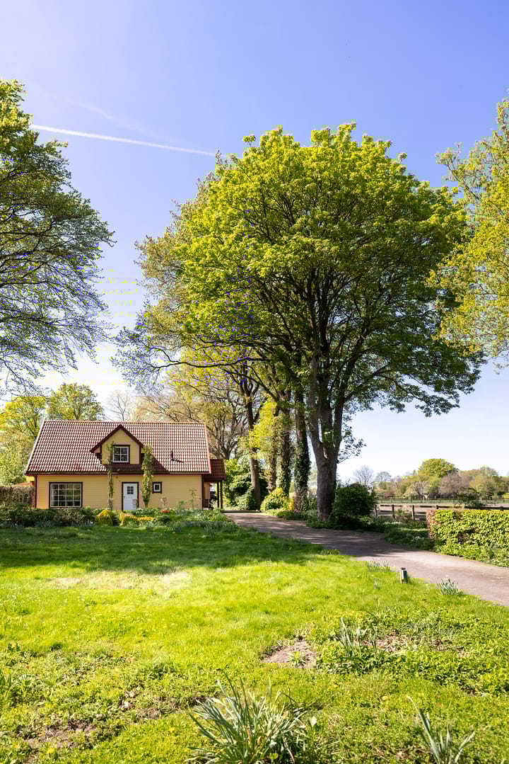 Foto 73 van Schapendrift 25