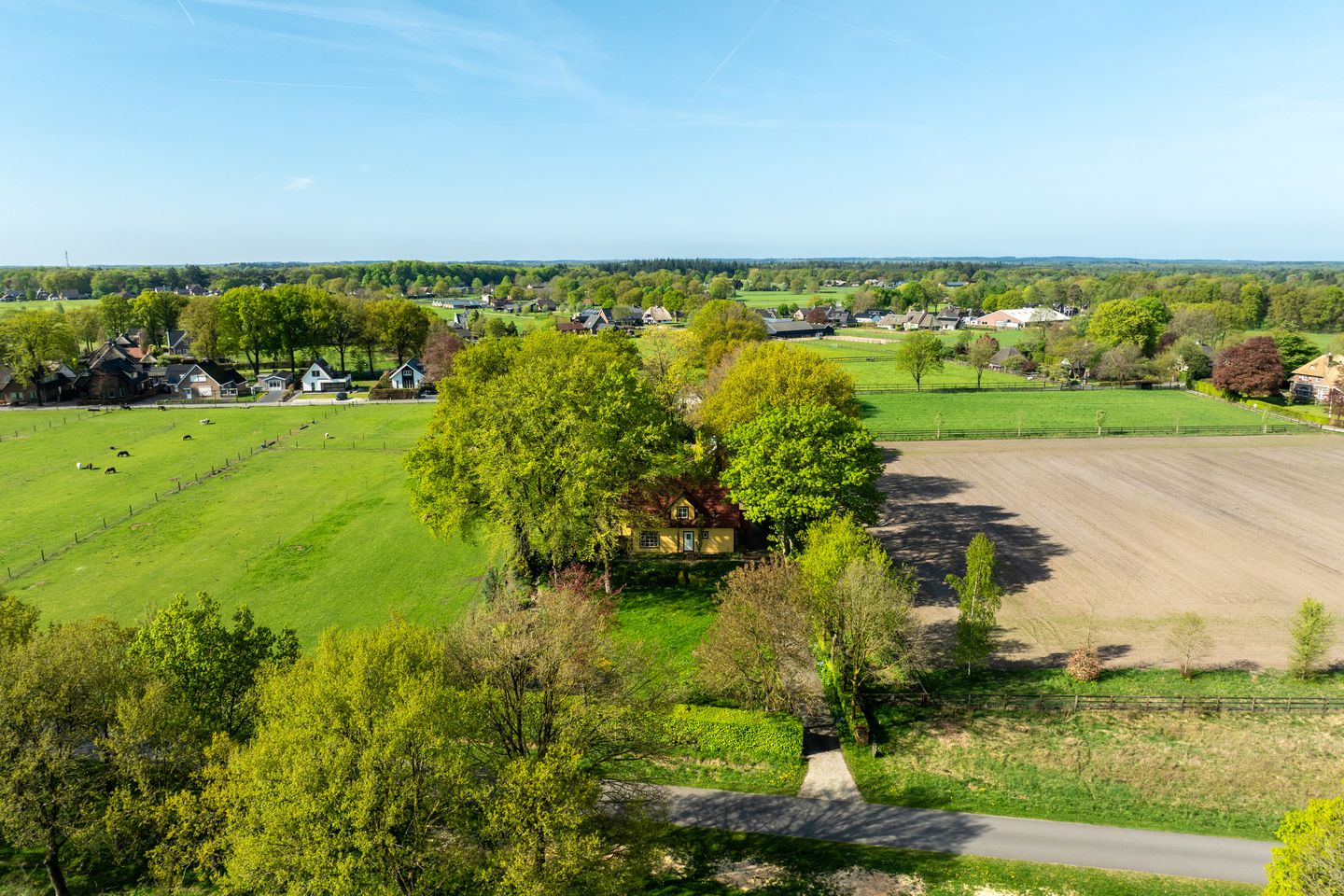 Foto 74 van Schapendrift 25