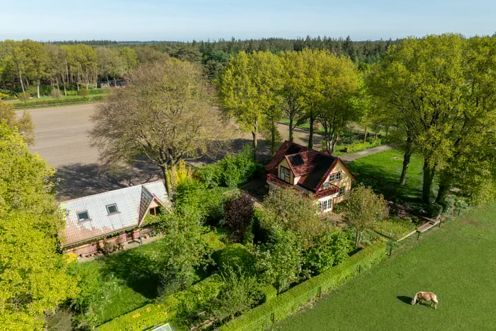 Foto 75 van Schapendrift 25