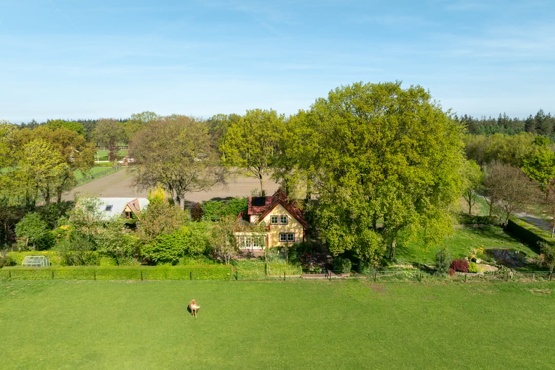 Foto 77 van Schapendrift 25