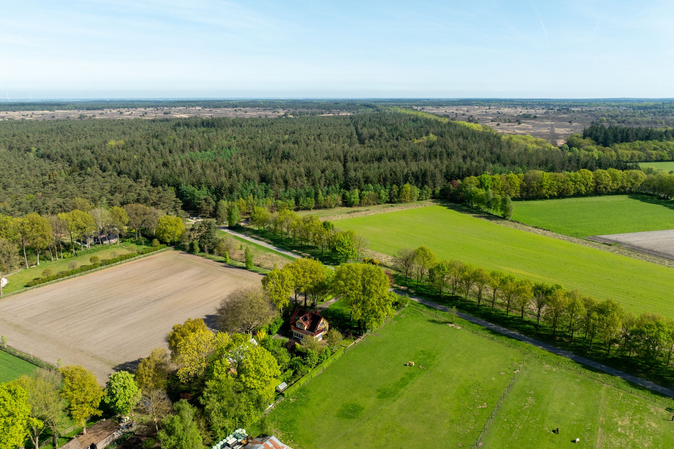 Foto 78 van Schapendrift 25