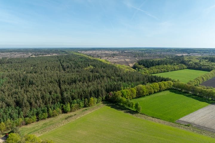 Foto 79 van Schapendrift 25