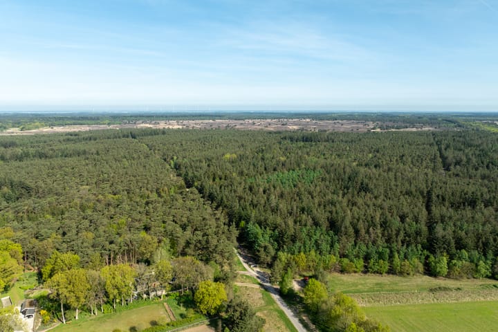 Foto 80 van Schapendrift 25