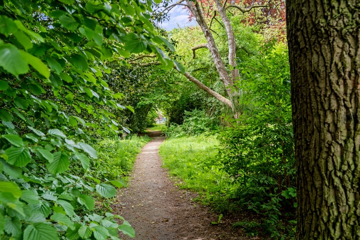 Foto 65 van Burgemeester Norbruislaan 21