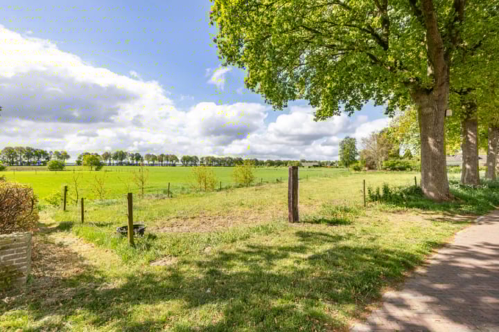 Foto 6 van Molenkamp 18