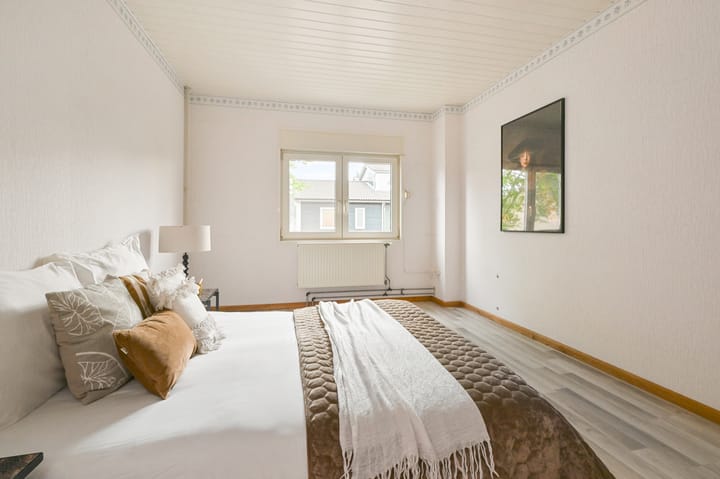 Foto 12 van Theemsstraat 11