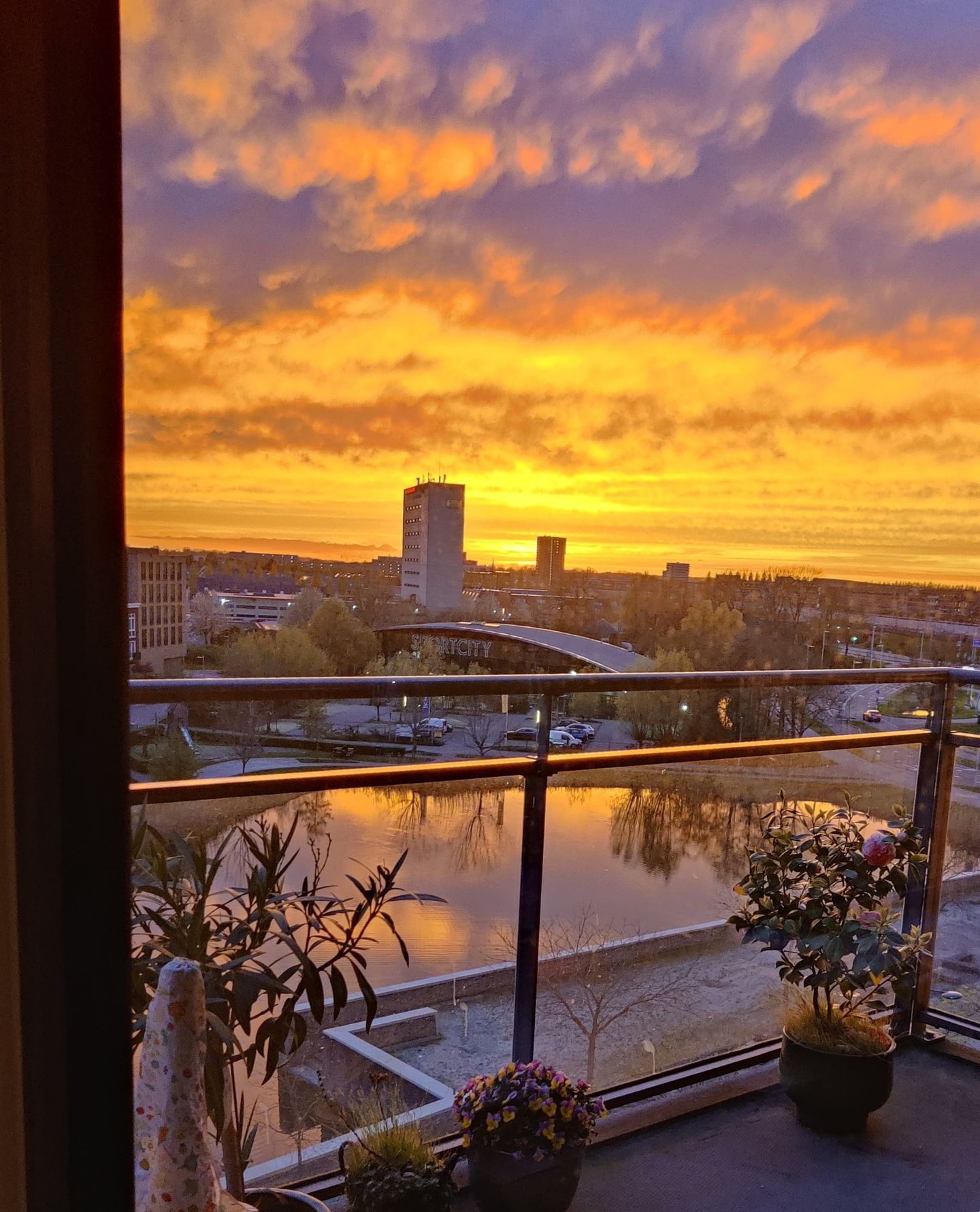 Foto 19 van Grauwaartsingel 512