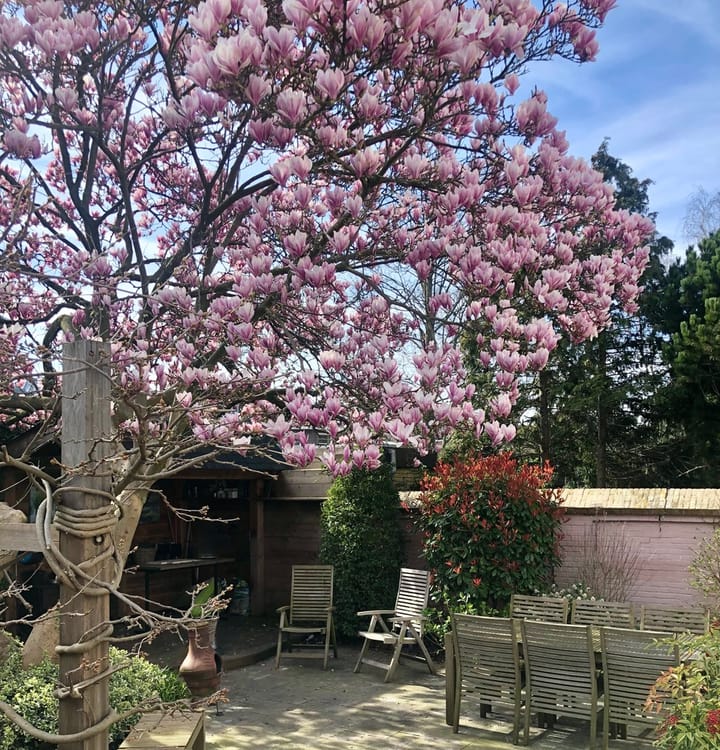 Photo 54 of Schiedamseweg 116