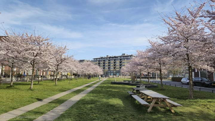 Foto 32 van Grauwaartsingel 512