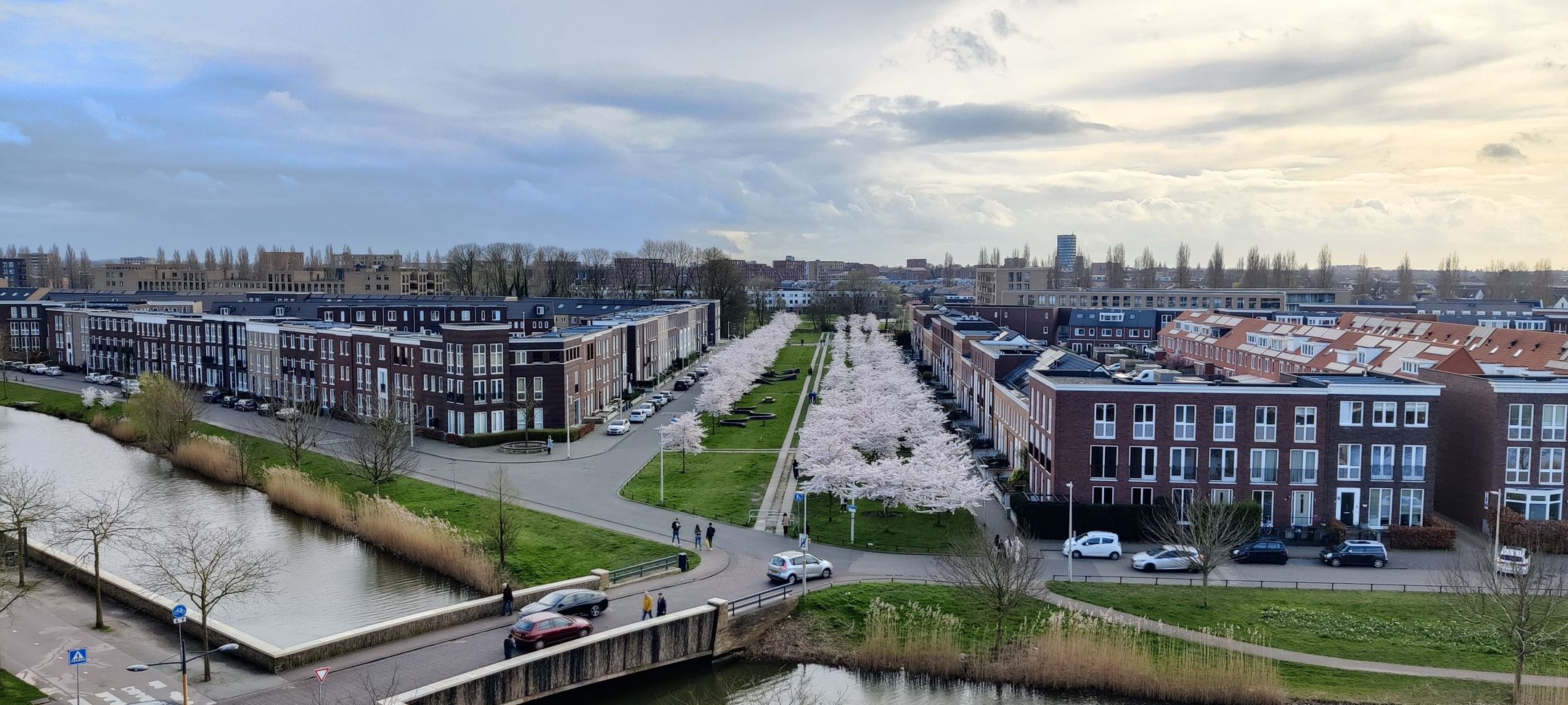 Foto 33 van Grauwaartsingel 512