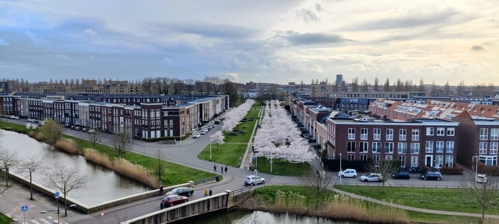 Foto 33 van Grauwaartsingel 512