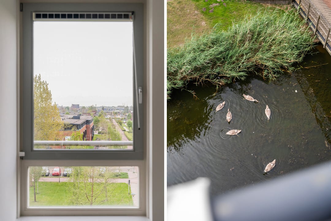 Foto 28 van Merantihout 50