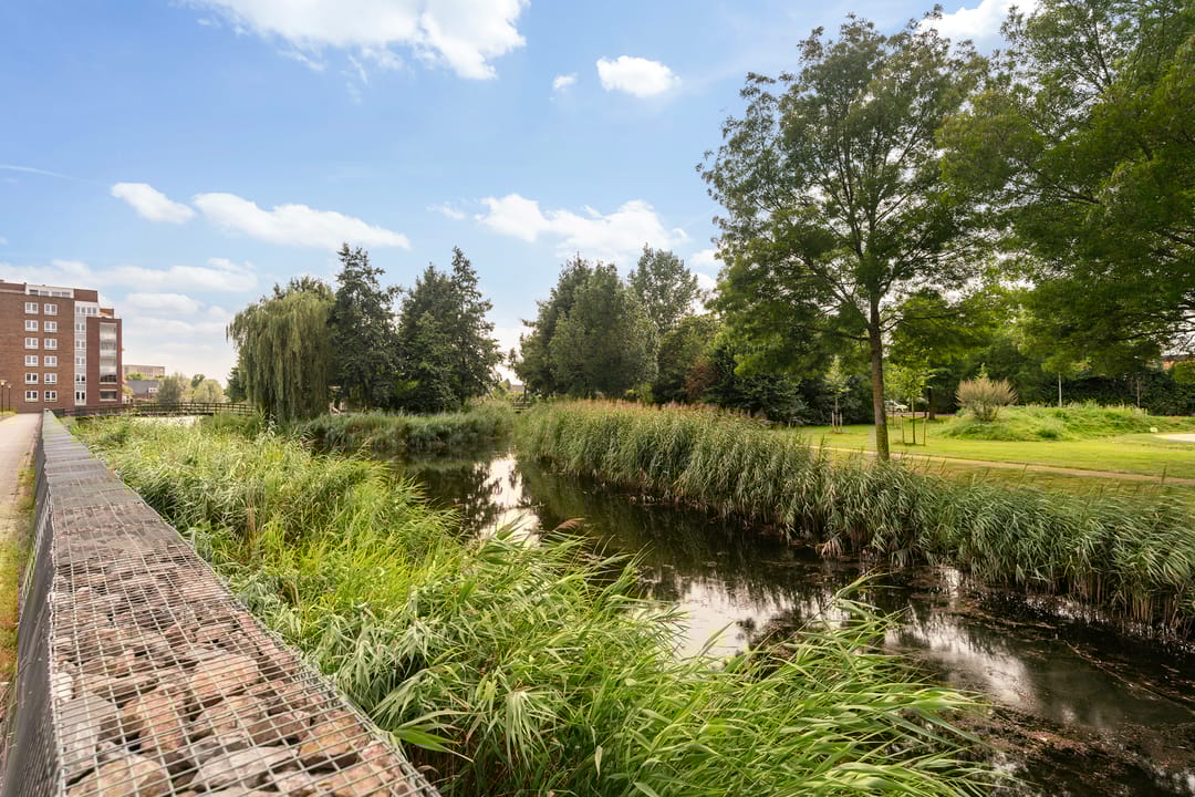 Foto 41 van Merantihout 50