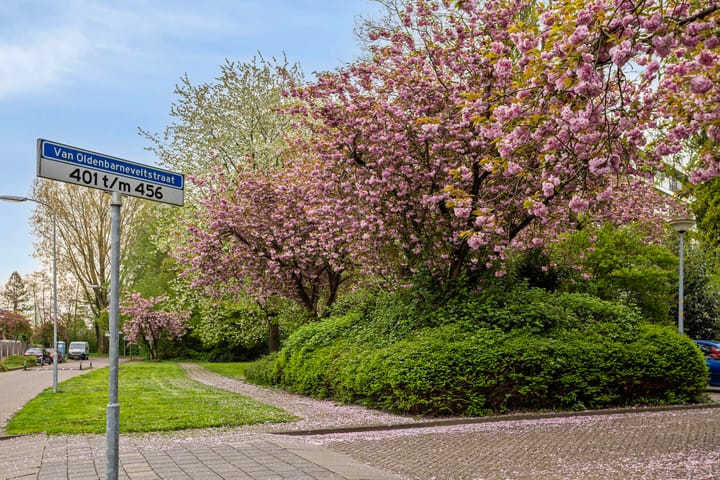 Foto 31 van Van Oldenbarneveltstraat 60