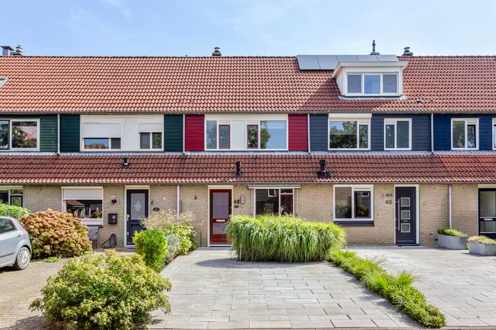 undefined main image