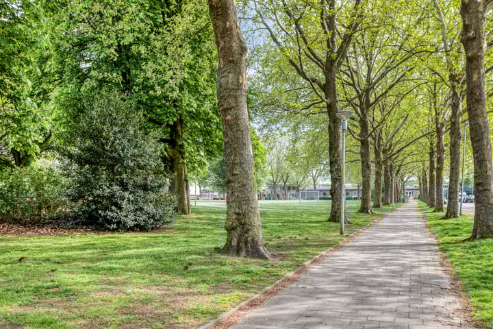 Foto 38 van Hercules Segherslaan 13