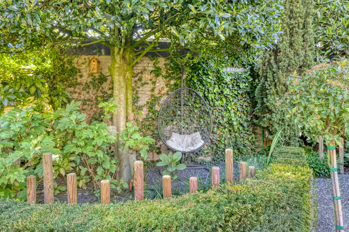 Foto 56 van Jonkheer de la Courtstraat 22