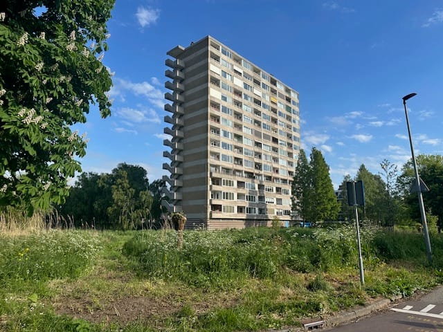 Foto 4 van Coornhertstraat 95