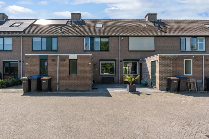 Foto 1 van Schildmos 44