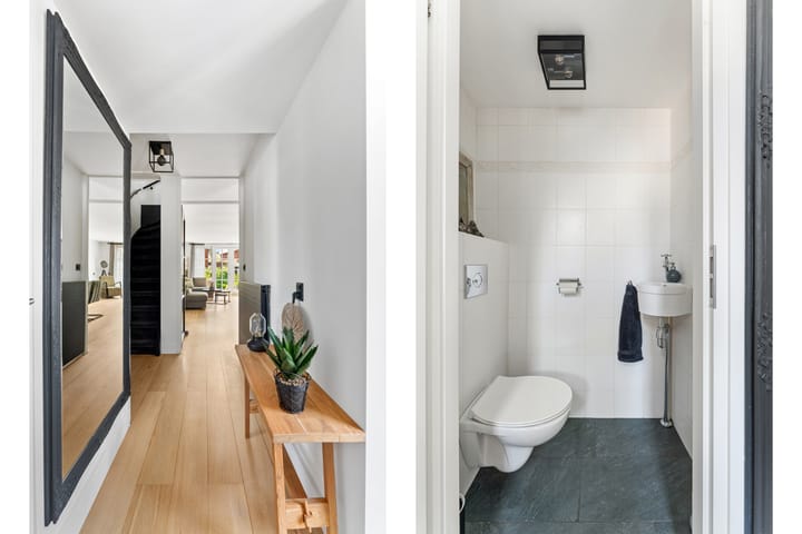 Foto 2 van Schildmos 44