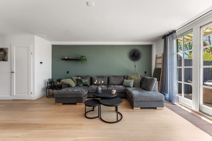 Foto 4 van Schildmos 44