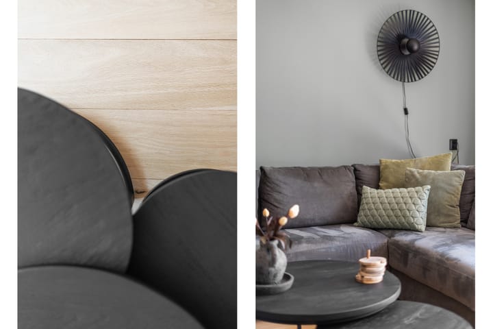 Foto 5 van Schildmos 44