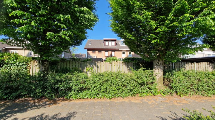 Foto 39 van Jan Steenstraat 44