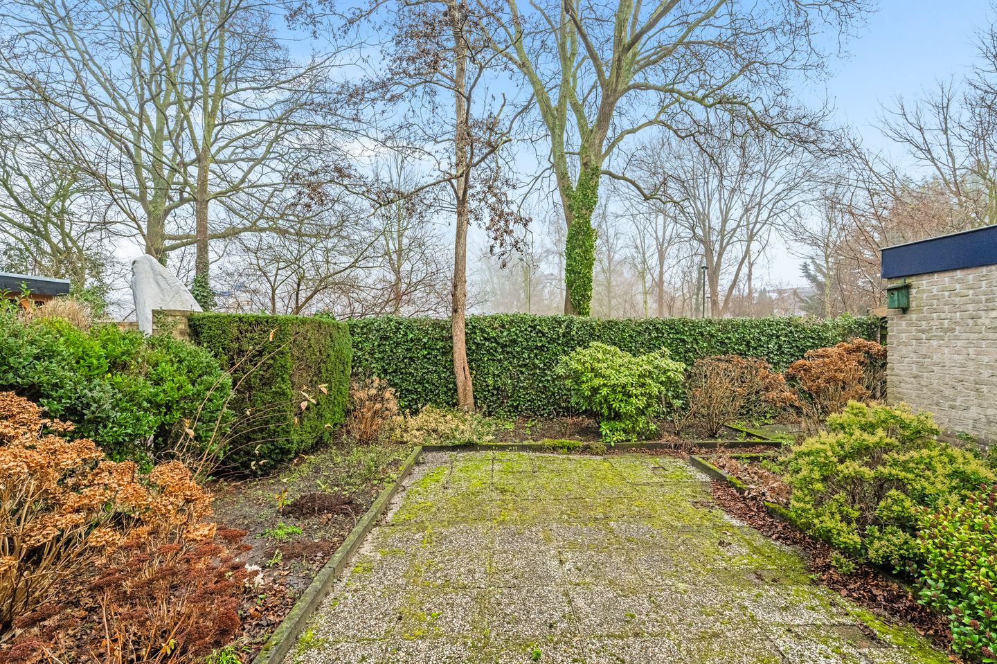 Foto 4 van Harrelaers 9